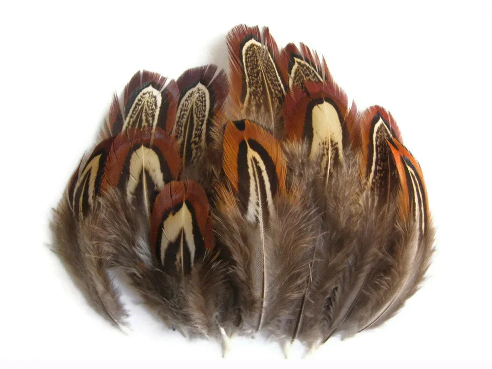 Natural brown and orange patterned feathers for DIY crafts and fashion decor.