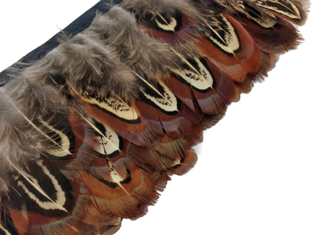 1 Yard - Almond Ringneck Natural Brown Pheasant Plumage Feather Trim