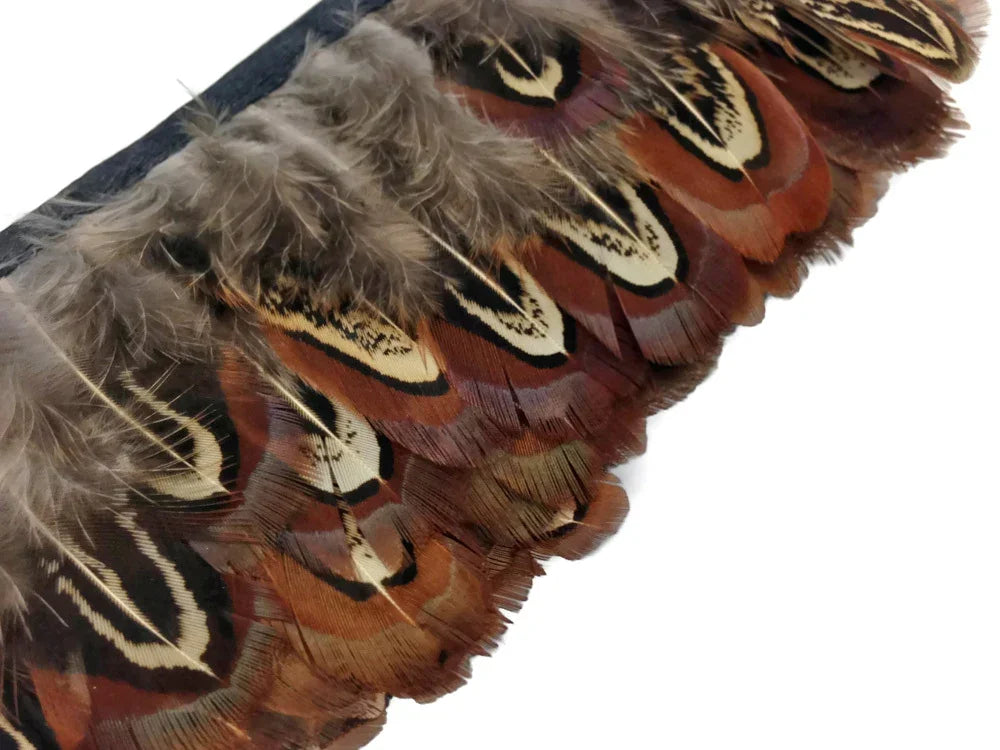 1 Yard - Almond Ringneck Natural Brown Pheasant Plumage Feather Trim