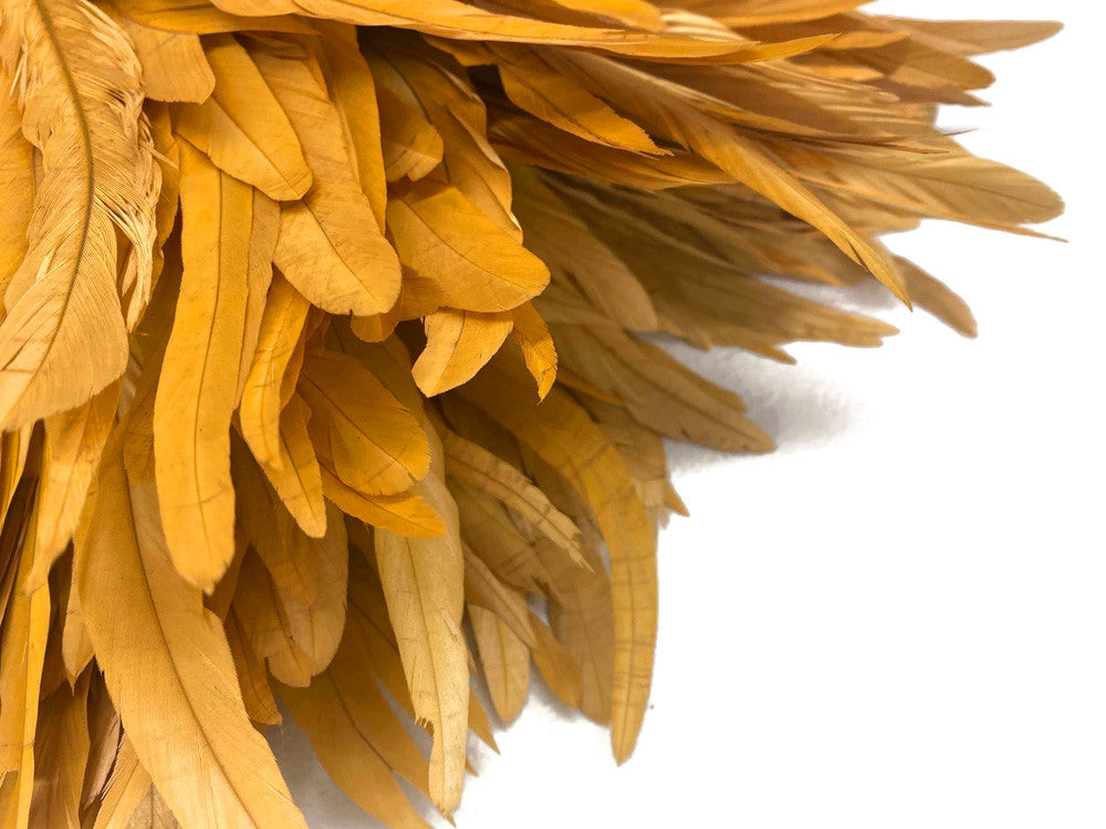 1/2 Yard - 14-16" Antique Gold Strung Natural Bleach & Dyed Rooster Coque Tail Wholesale Feathers (Bulk)
