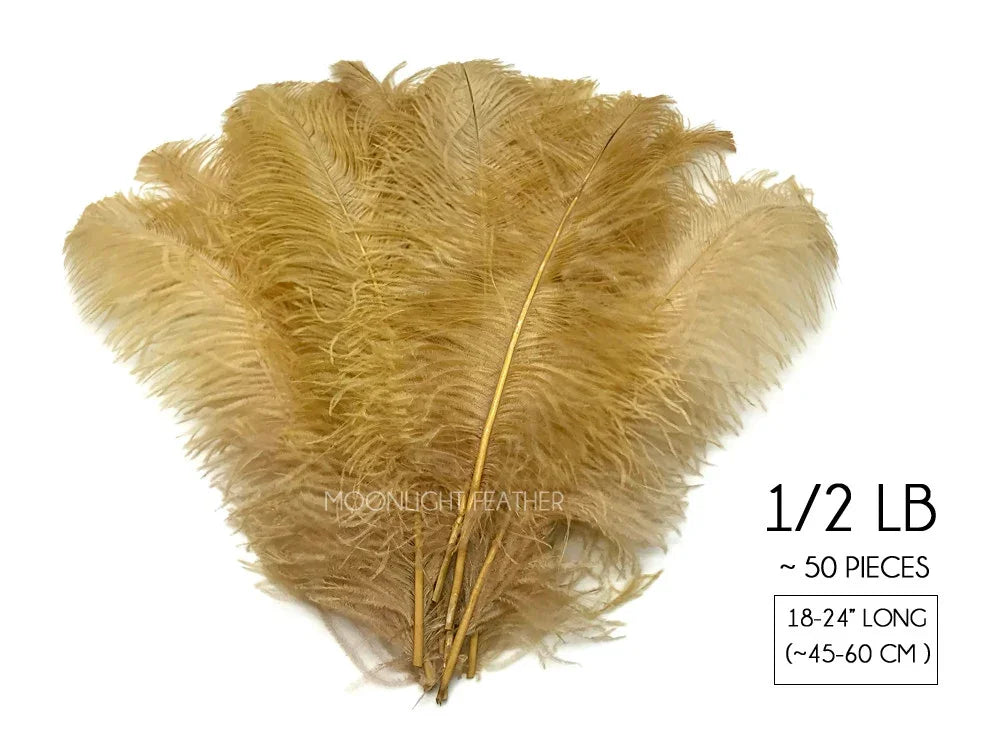 Bundle of 50 gold ostrich feathers, 18-24 inches long for crafts and fashion decor.
