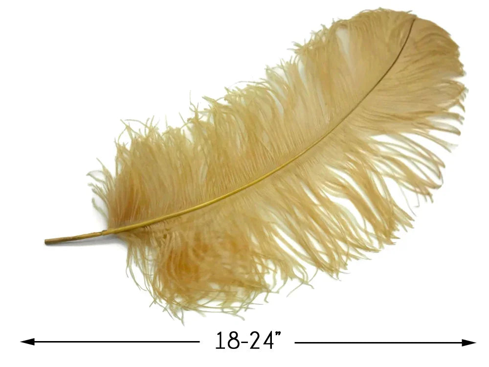 Large cream-colored ostrich feather for crafts and fashion decor, 18-24 inches long.