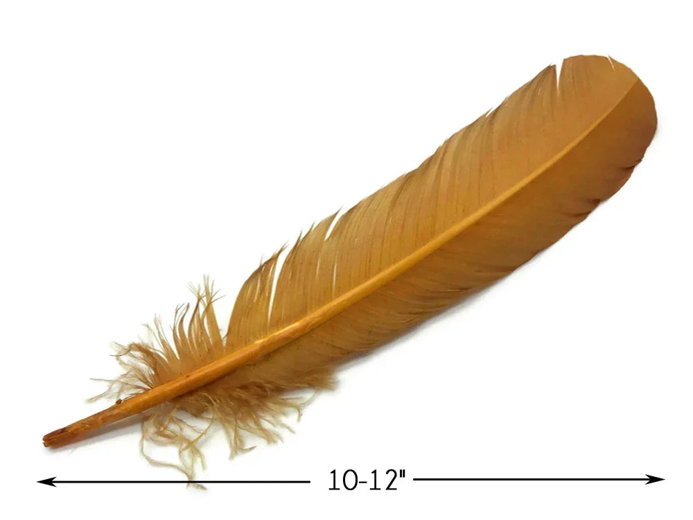 Single large tan craft feather measuring 10-12 inches for DIY fashion and decor.
