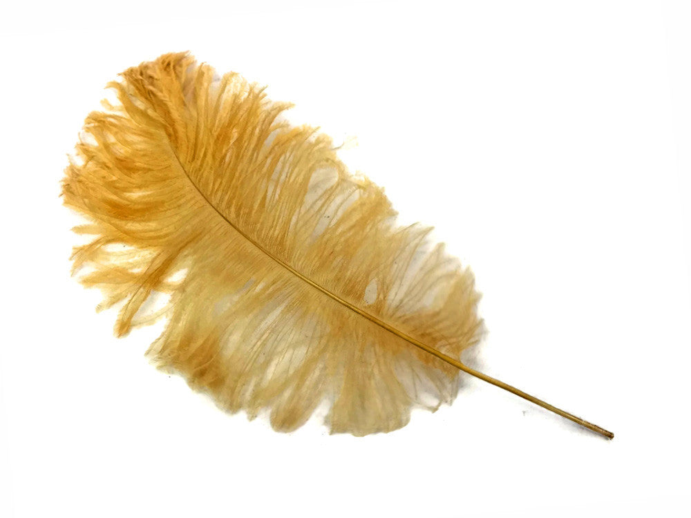 10 Pieces - 12-16" Antique Gold Dyed Ostrich Tail Fancy Feathers
