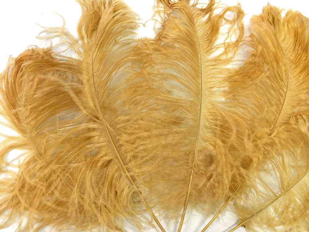 10 Pieces - 12-16" Antique Gold Dyed Ostrich Tail Fancy Feathers