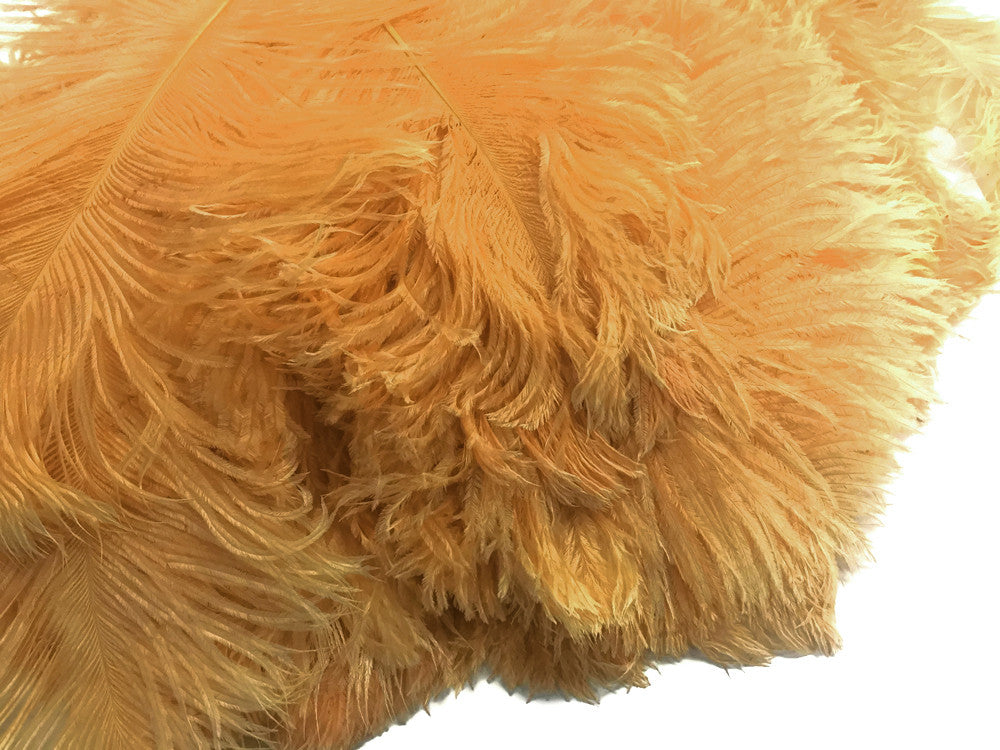 10 Pieces - 12-16" Antique Gold Dyed Ostrich Tail Fancy Feathers