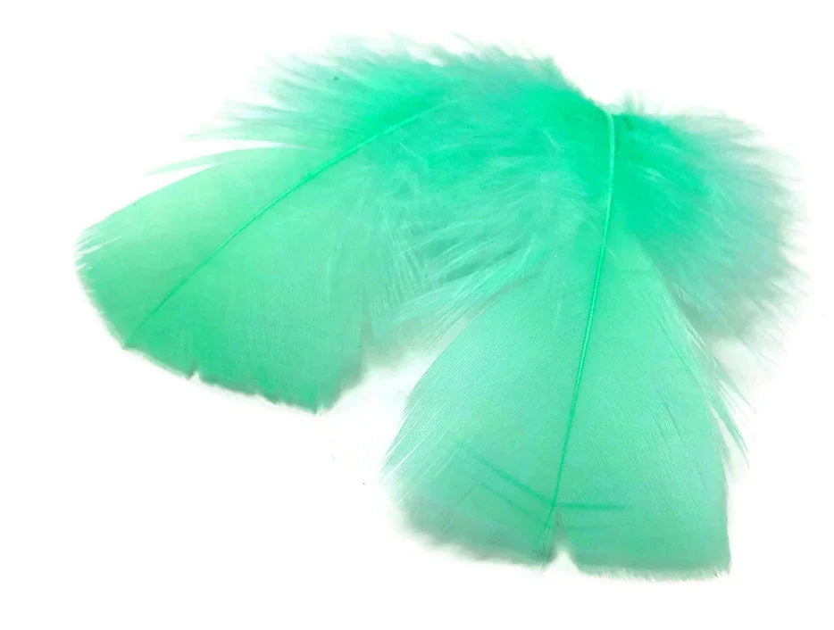 Two vibrant turquoise craft feathers for DIY fashion and décor projects.