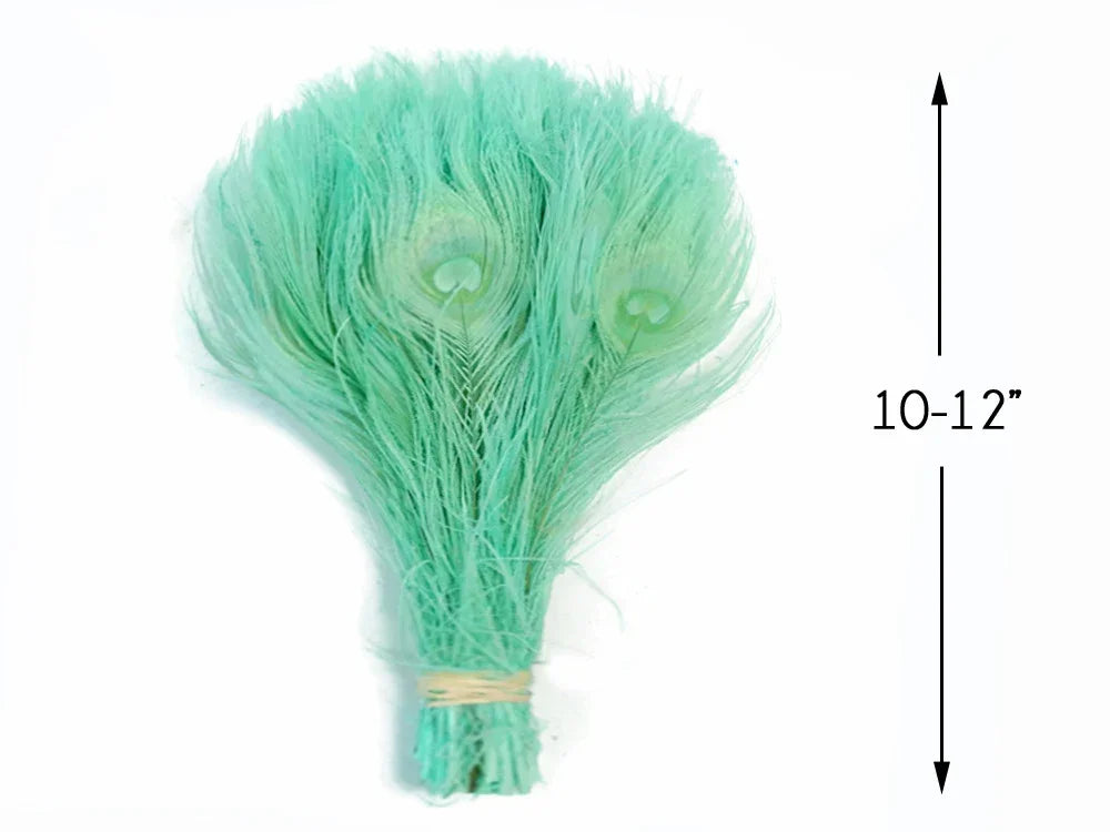 Bundle of 10-12 inch teal dyed peacock feathers for crafts and fashion decor