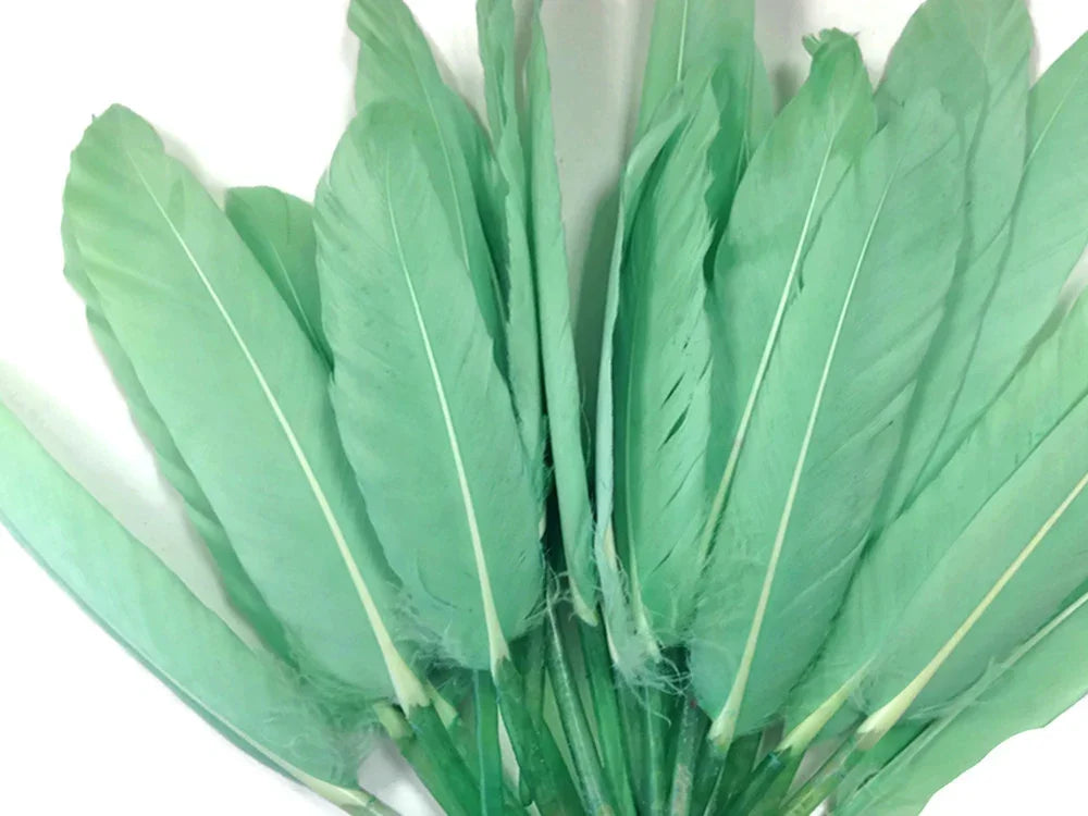A fan of long, light mint green feathers for DIY crafts and fashion decor.