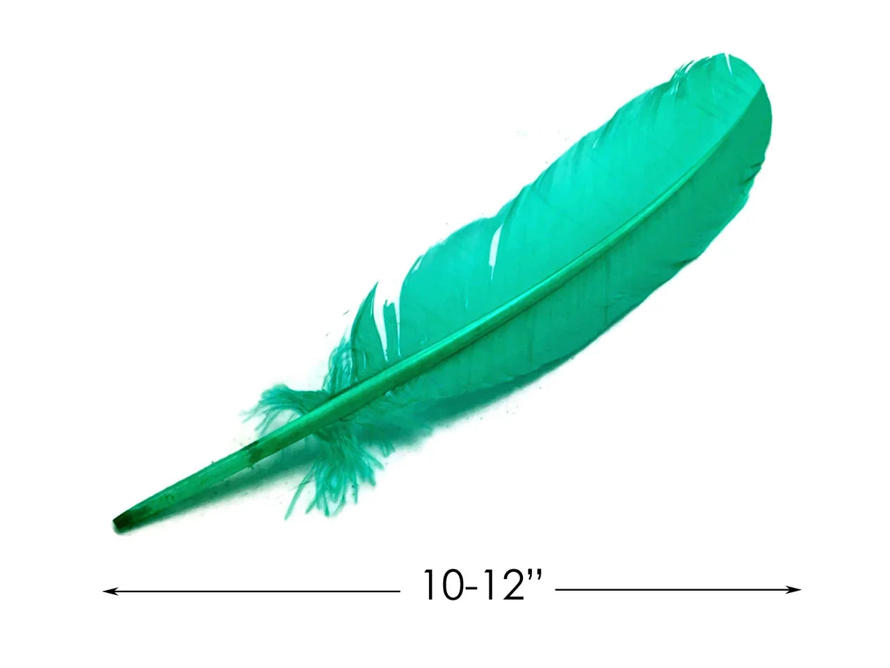 Vibrant teal green craft feather, 10-12 inches long for DIY fashion and decor.