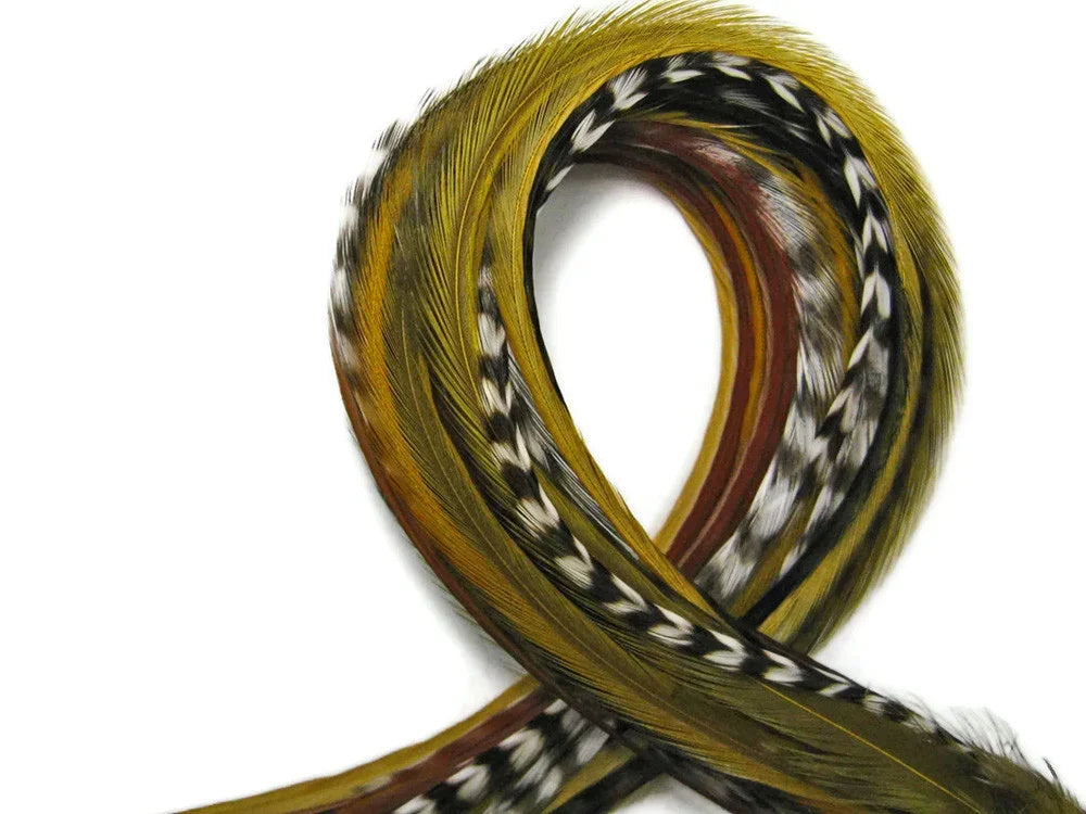 Curved assortment of natural brown, gold, and patterned feathers for crafts and fashion.