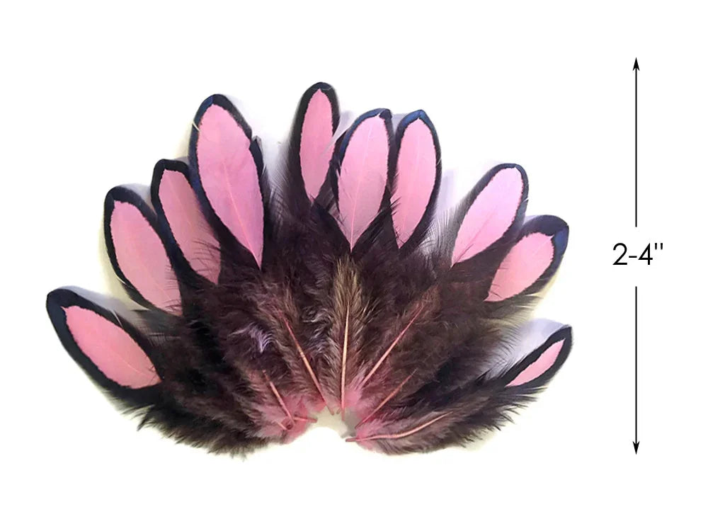Pink and black decorative feathers for crafts and fashion, 2-4 inches in length.