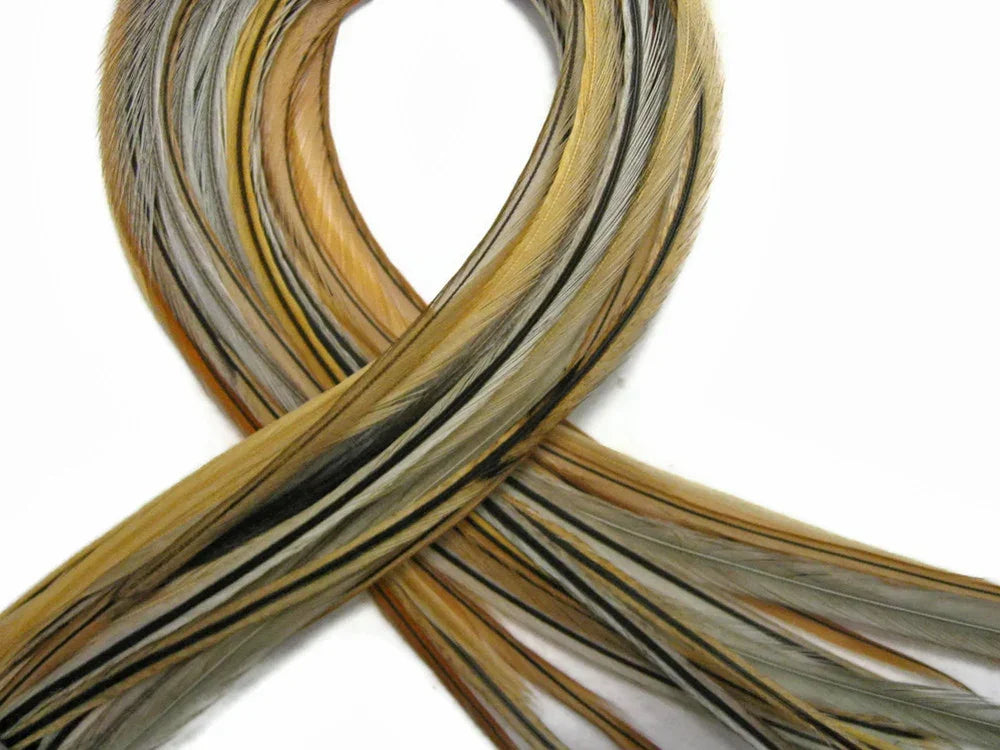 Long striped brown and tan feathers for DIY crafts and fashion accessories.
