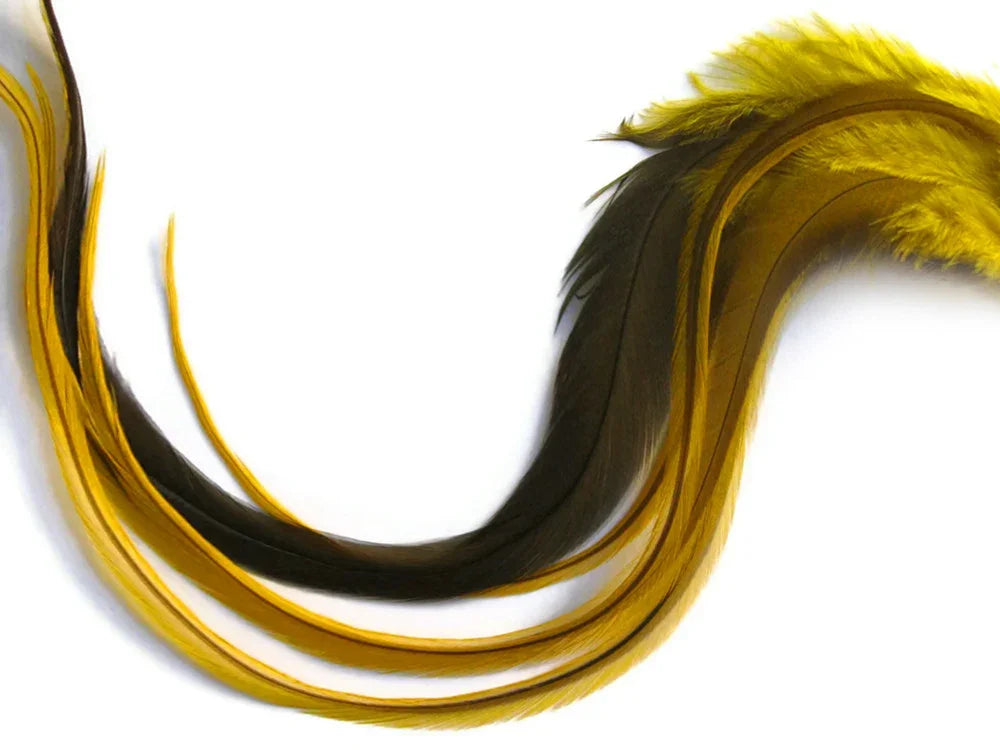 Curved yellow and black decorative feathers for crafts and fashion DIY supplies.