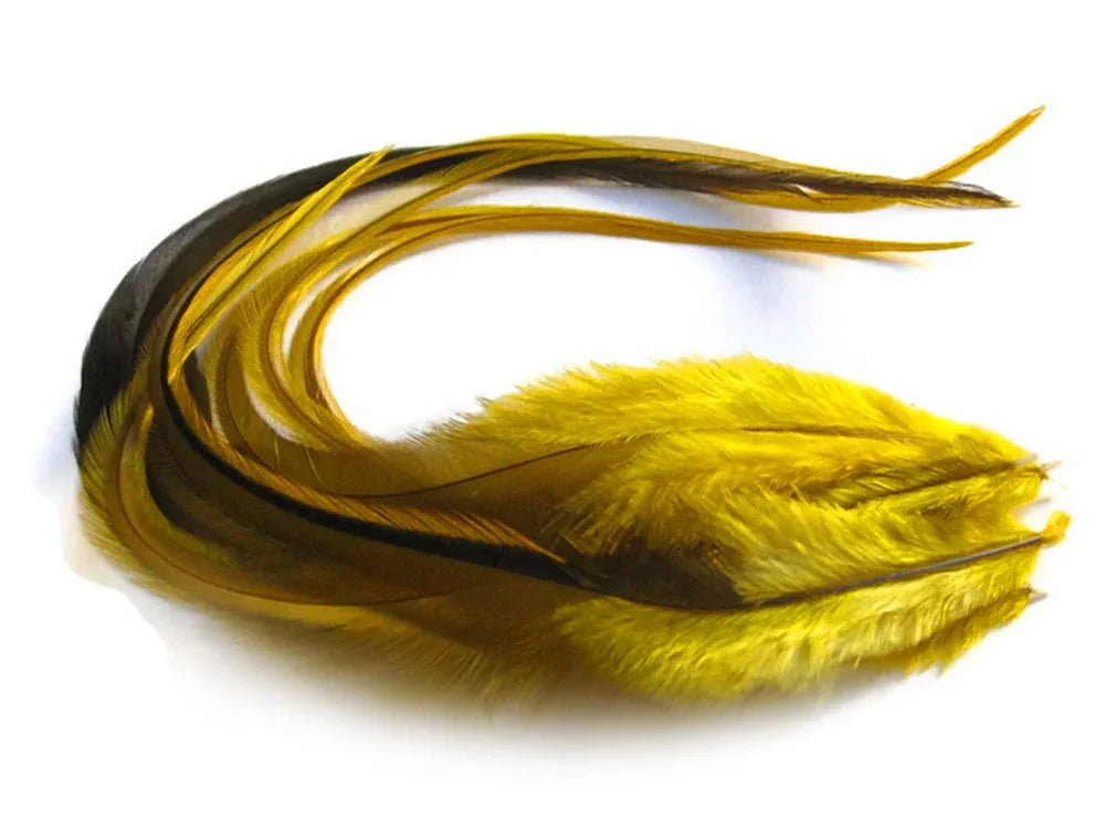 Long, vibrant yellow and dark brown feathers for DIY crafts and fashion decor.