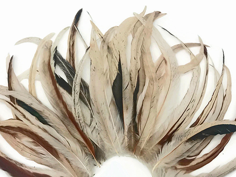 Wholesale Pack - 8-12" Natural Beige Mix Coque Tail Strung Rooster Feathers 2 Oz. (Bulk)