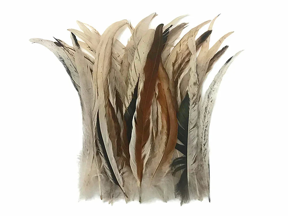Assorted natural brown and beige feathers for DIY crafts and fashion decor.