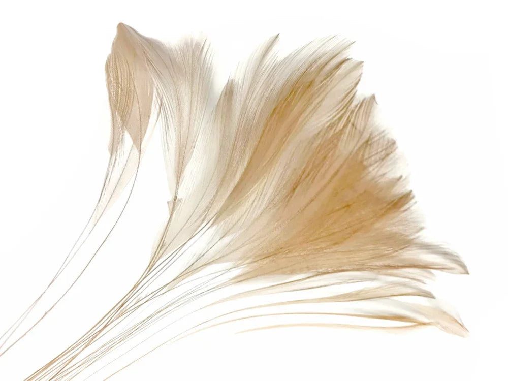 Natural beige ostrich feathers for DIY crafts and fashion decor.
