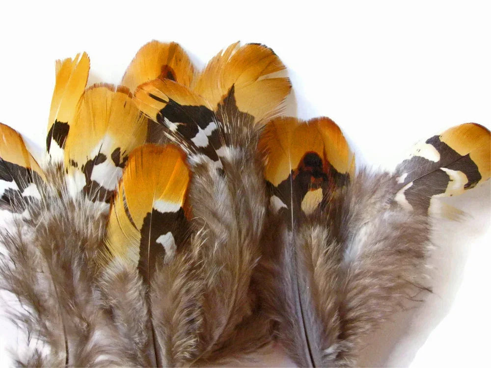 Natural brown and orange patterned feathers for DIY crafts and fashion accessories.
