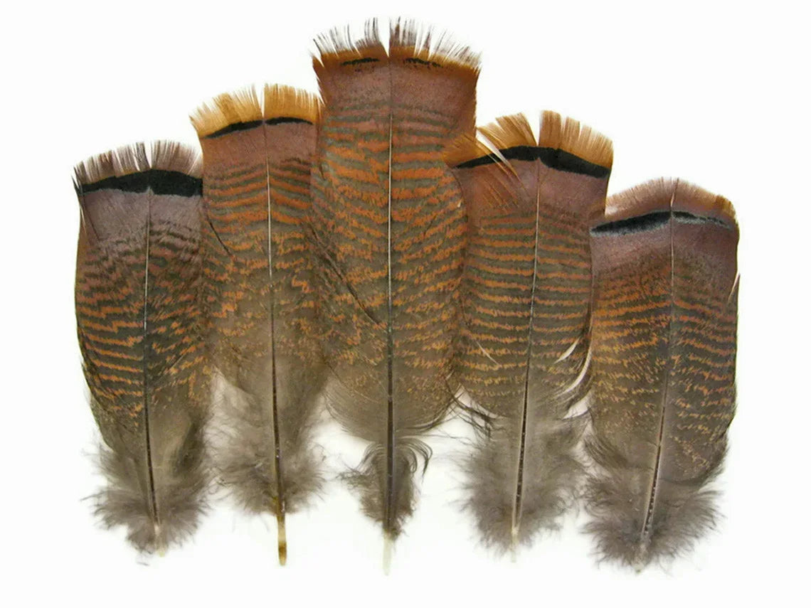 Five brown patterned feathers with black tips for crafts and fashion DIY supplies.