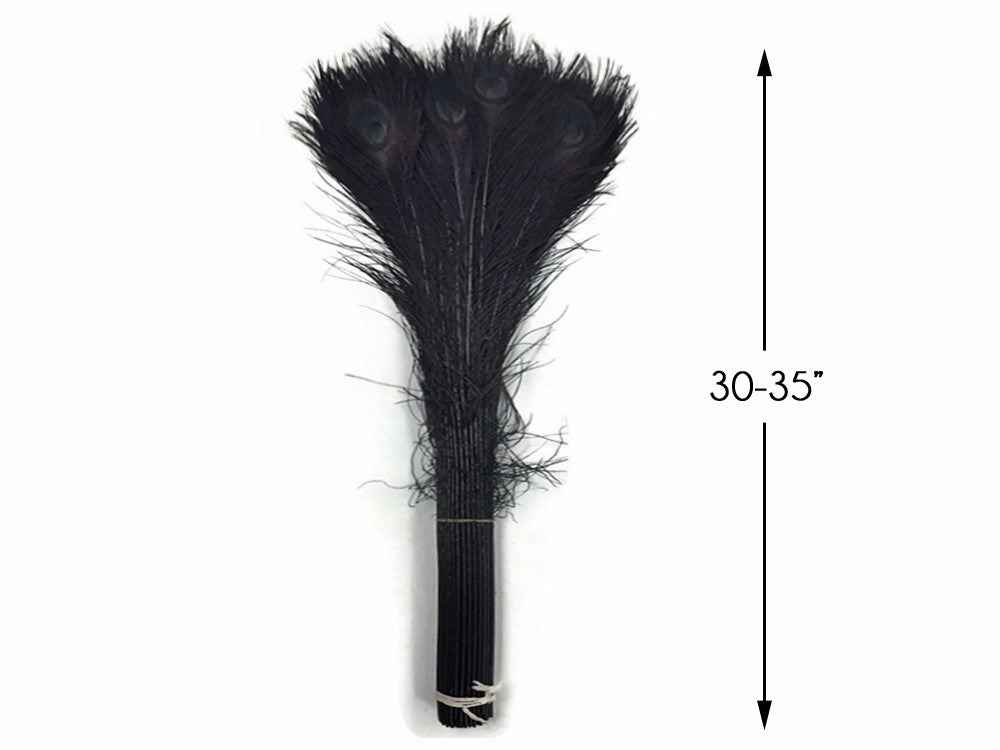 50 Pieces - 30-35" Black Bleached & Dyed Peacock Tail Eye Wholesale Feathers (Bulk)