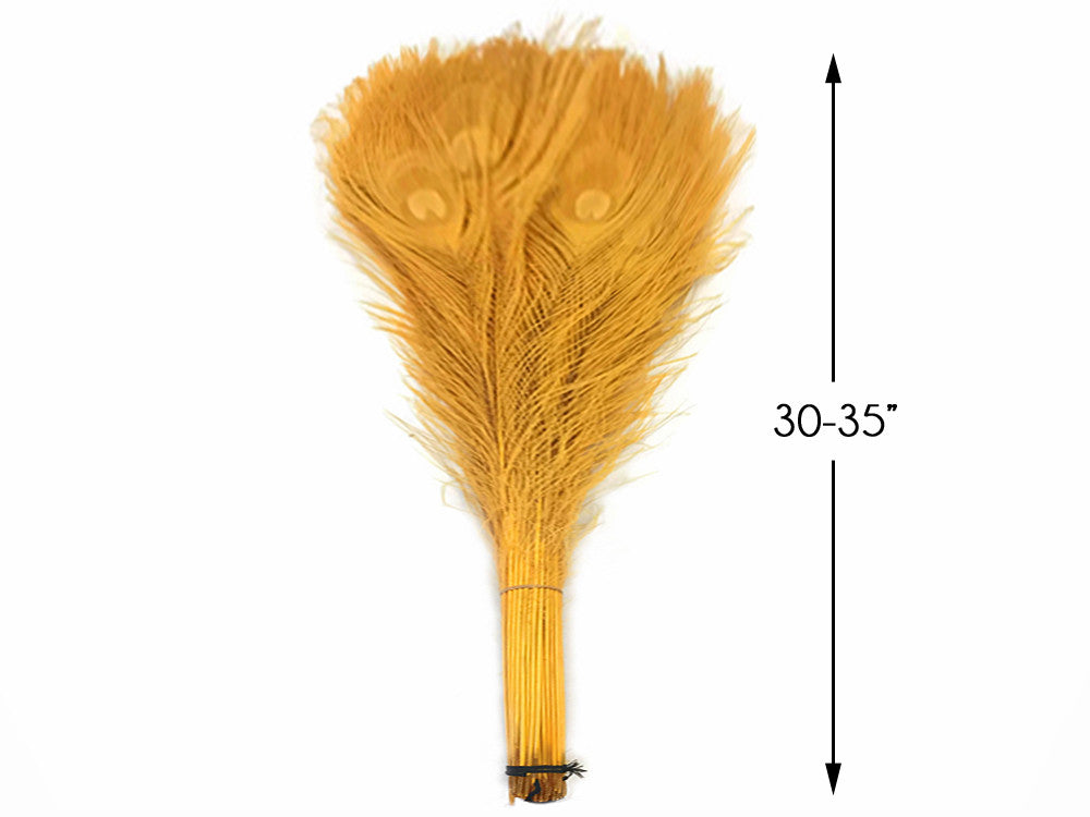50 Pieces - 30-35" Golden Yellow Bleached & Dyed Peacock Tail Eye Wholesale Feathers (Bulk)