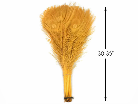 50 Pieces - 30-35" Golden Yellow Bleached & Dyed Peacock Tail Eye Wholesale Feathers (Bulk)