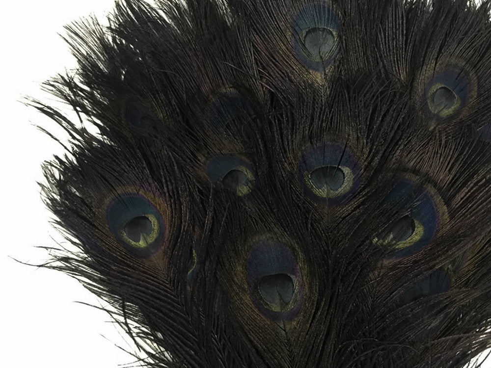 50 Pieces - 20-25" Black Bleached & Dyed Peacock Tail Eye Wholesale Feathers (Bulk)