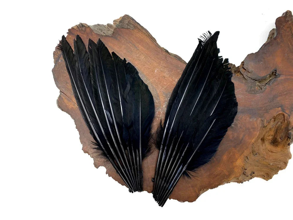 Large black feathers arranged in a wing shape on a rustic wooden slab.