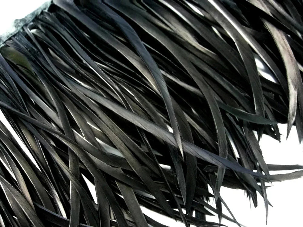 Close-up of sleek black feathers for fashion and DIY craft projects.