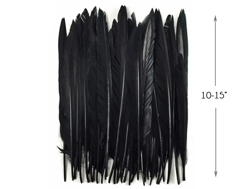 Bundle of long black feathers for DIY crafts and fashion, 10-15 inches in length.