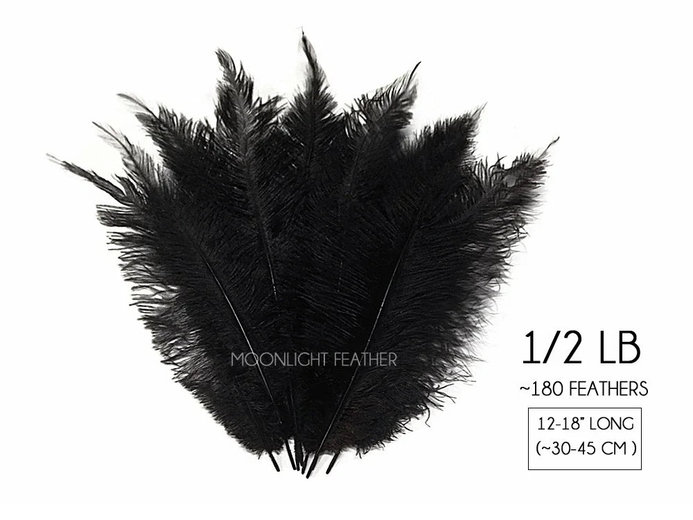 Bundle of 180 black ostrich feathers for crafts and fashion decor, 12-18 inches long.