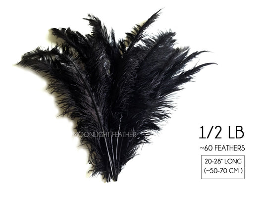 1/2 Lb - Black Large Ostrich Spads Wholesale Feathers 20-28" (Bulk)