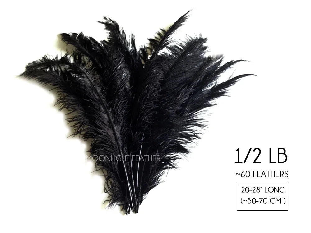 Bundle of 60 black ostrich feathers for crafts and decor, 20-28 inches long.
