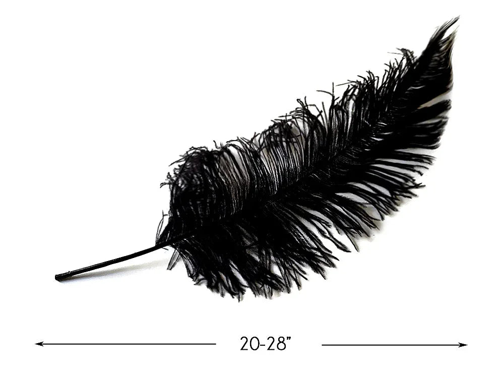 Large black ostrich feather for crafts and fashion decor, 20-28 inches long.