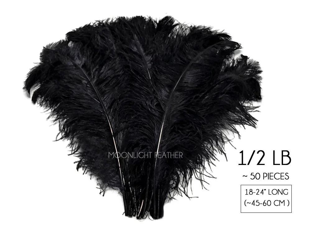 Bundle of black ostrich feathers, 1/2 lb, approximately 50 pieces, 18-24 inches long