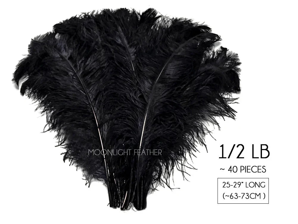 Bundle of 40 black ostrich feathers, 25-29 inches long for crafts and fashion decor.