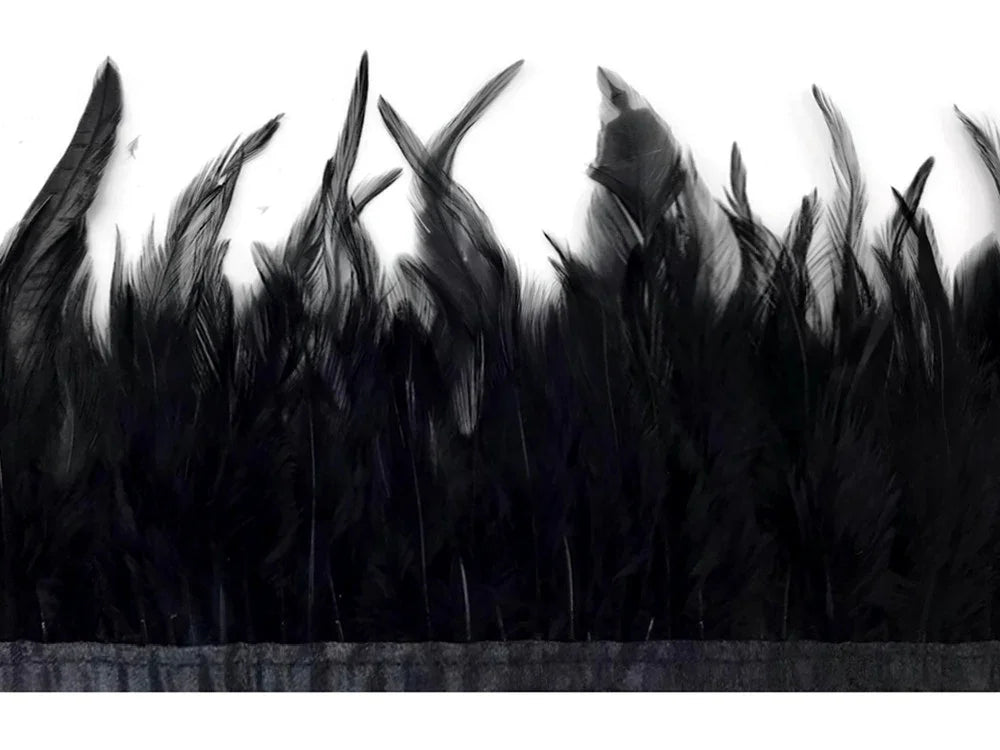 Collection of elegant black feathers for fashion and DIY craft projects.