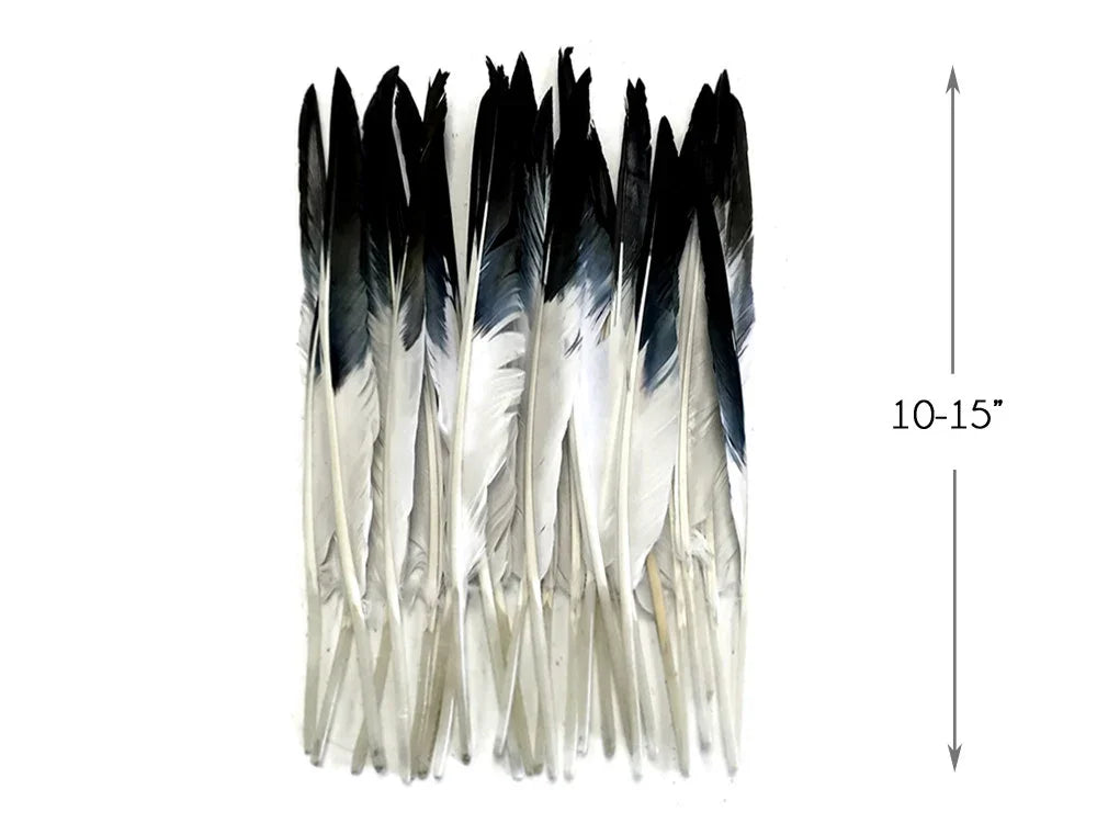 Black and white decorative feathers for crafts and fashion, 10-15 inches long.