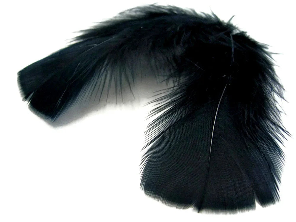 Elegant black natural feathers for DIY crafts, fashion accessories, and costume décor.