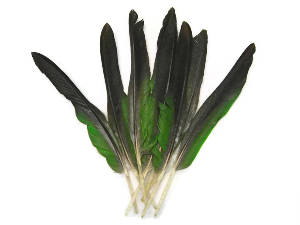 Long iridescent green and black feathers for DIY crafts and fashion decor.