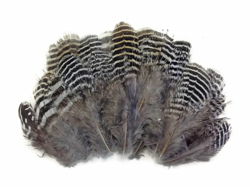 Natural striped grey and white feathers for DIY crafts and fashion decor.
