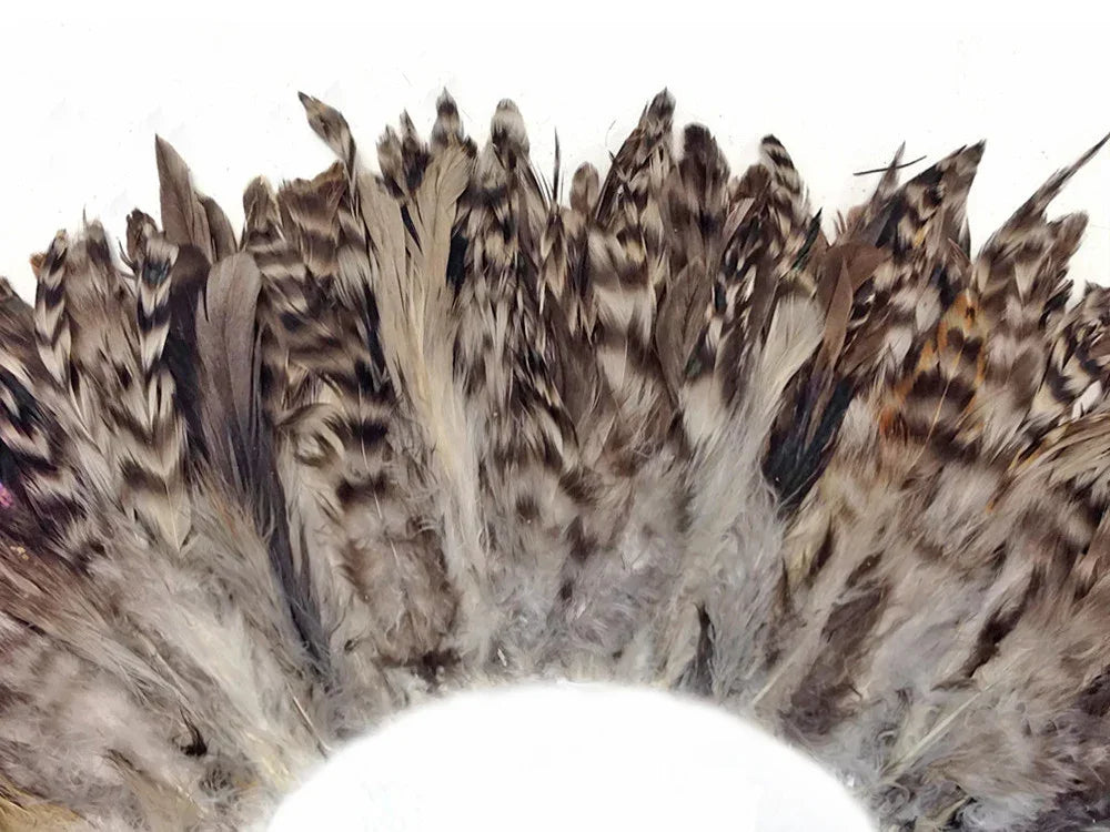 Natural brown and white patterned feathers for craft and fashion DIY supplies.