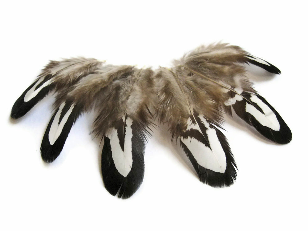 10 Pieces - Tiny Black And White Reeves Venery Pheasant Plumage Feathers