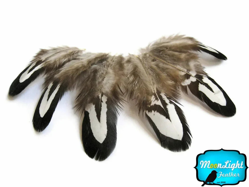 Natural brown and white patterned feathers for DIY crafts and fashion decor.