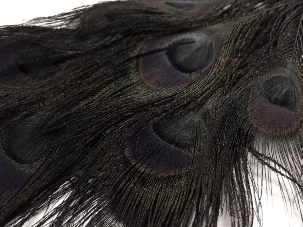 50 Pieces - 30-35" Black Bleached & Dyed Peacock Tail Eye Wholesale Feathers (Bulk)
