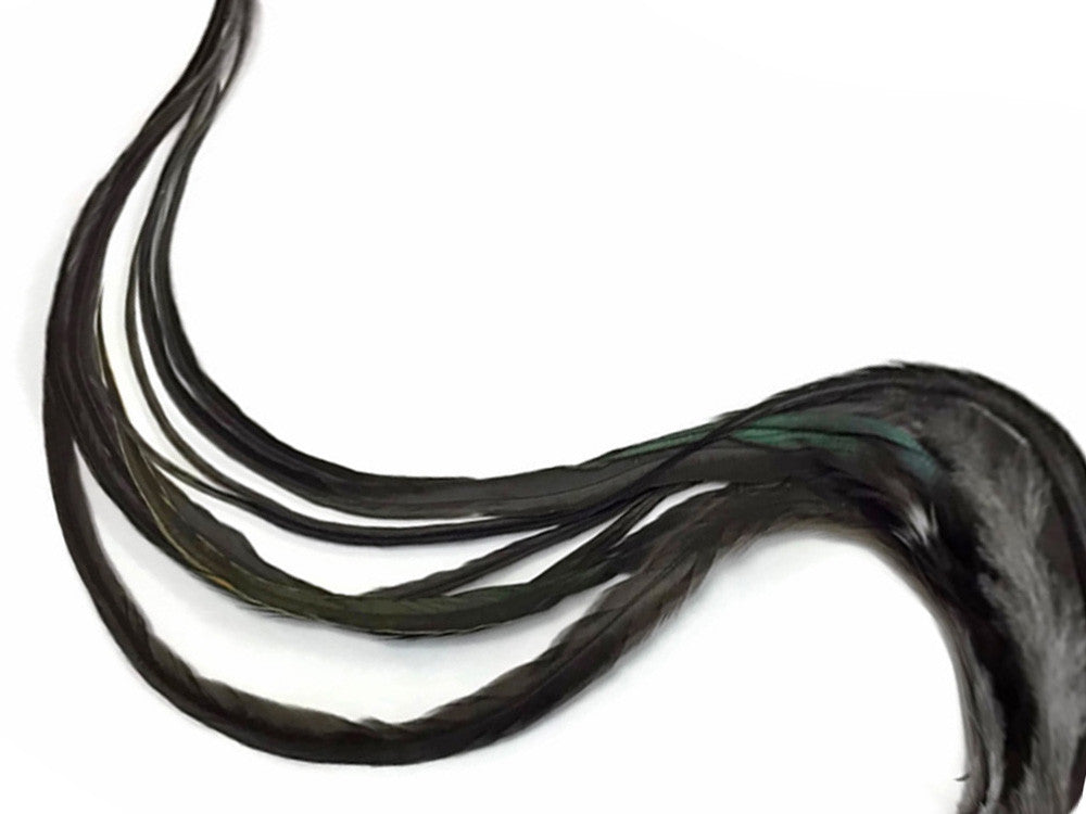 6 Pieces - XL Black Bronze Thick Long Grizzly Whiting Farm Rooster Saddle Hair Extension Feathers
