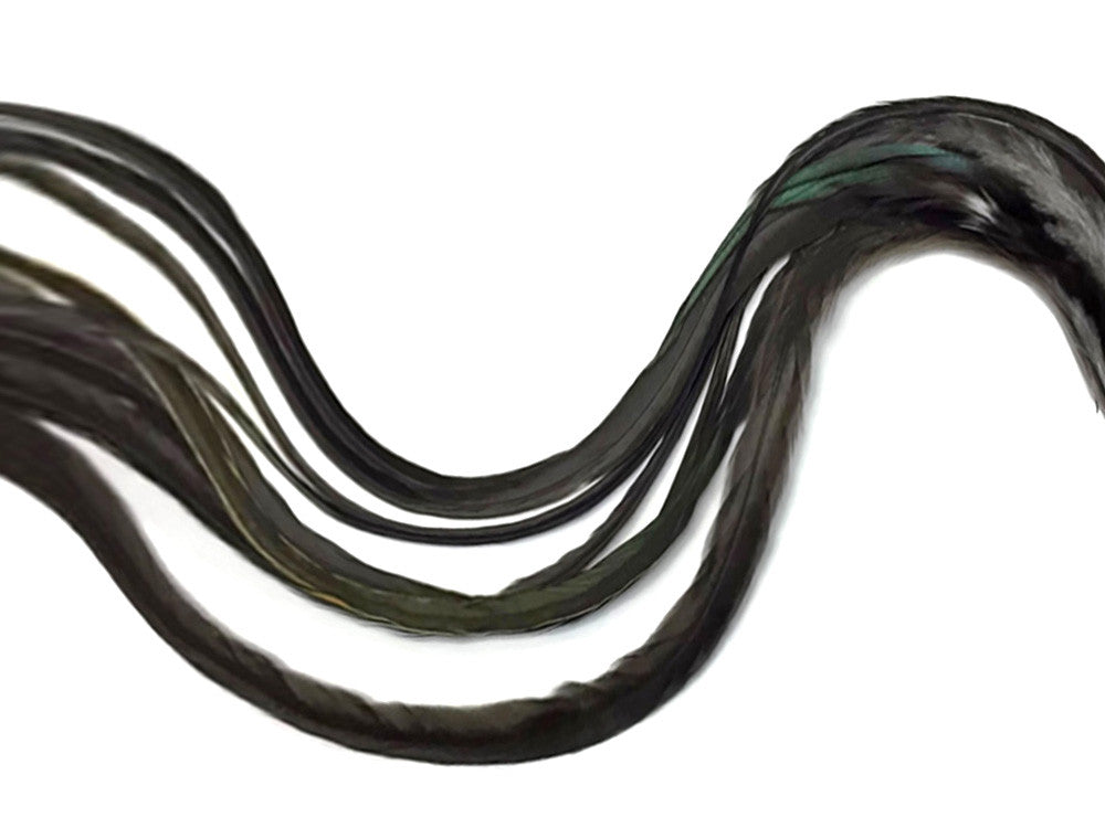 6 Pieces - XL Black Bronze Thick Long Grizzly Whiting Farm Rooster Saddle Hair Extension Feathers