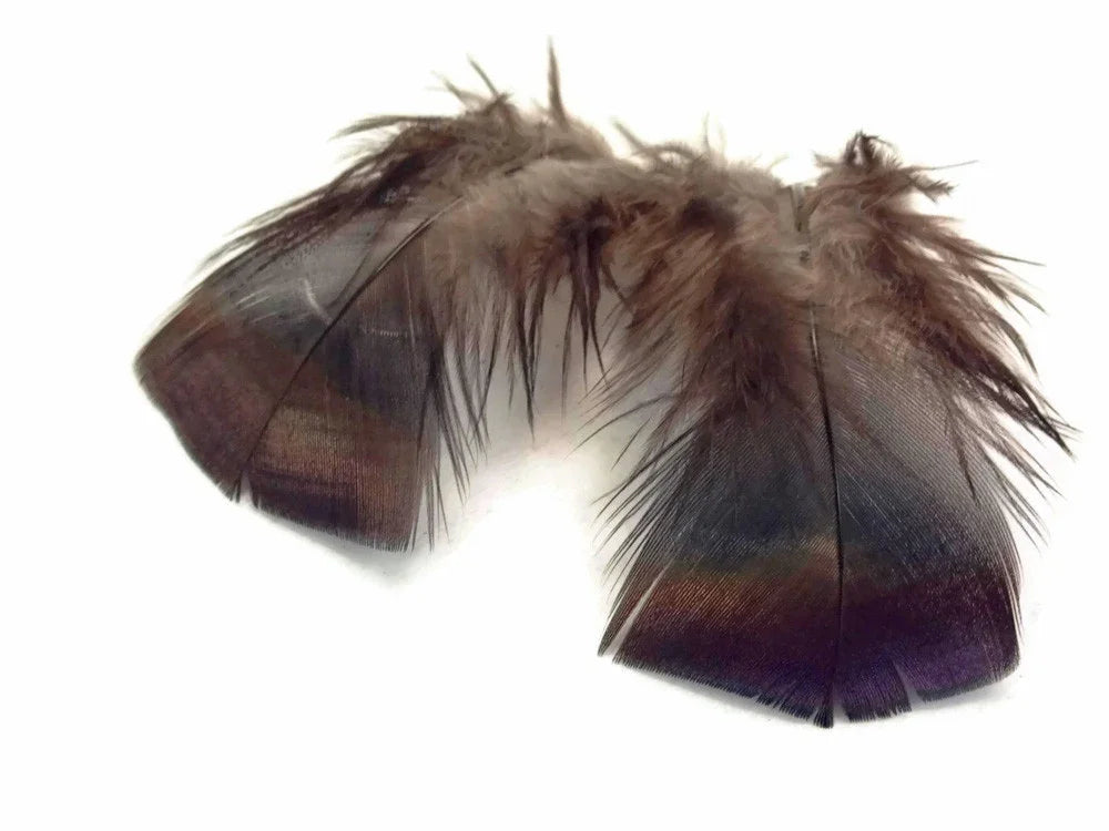 Two iridescent dark brown feathers with purple sheen for crafts and fashion decor.