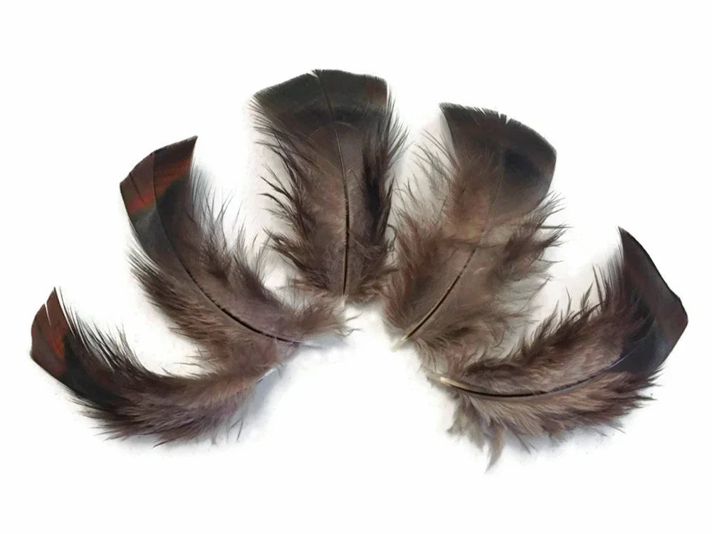 Natural brown and dark patterned feathers for DIY crafts and fashion décor.